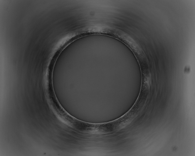 X0000102000678200807181205