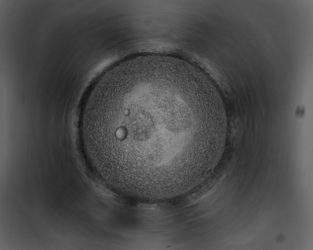 X0000102000679200807181205