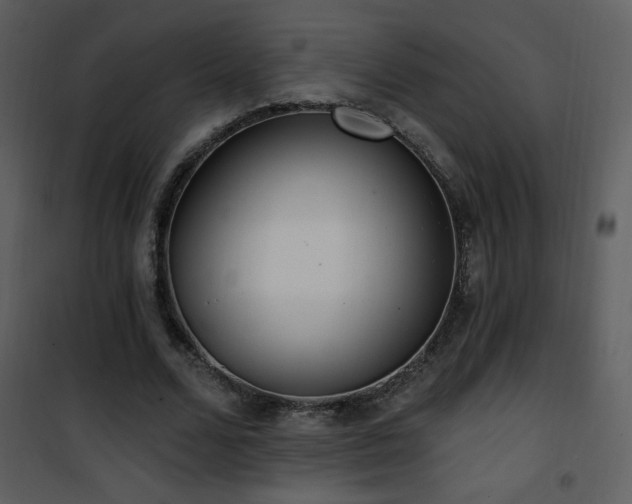 X0000102000680200807181205