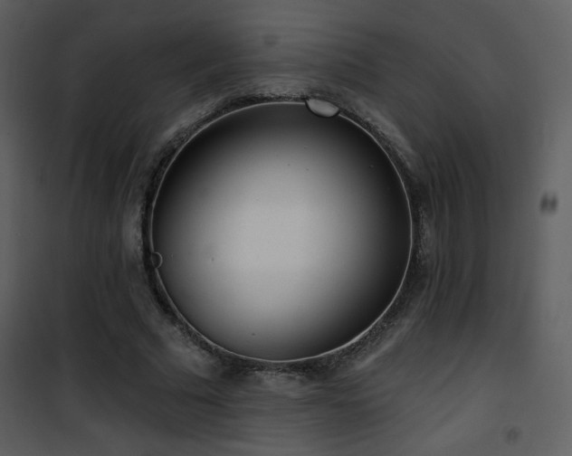 X0000102000681200807181205