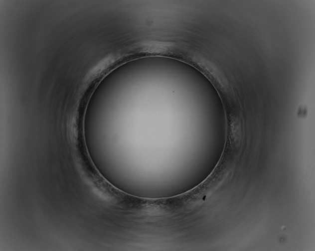 X0000102000682200807181205