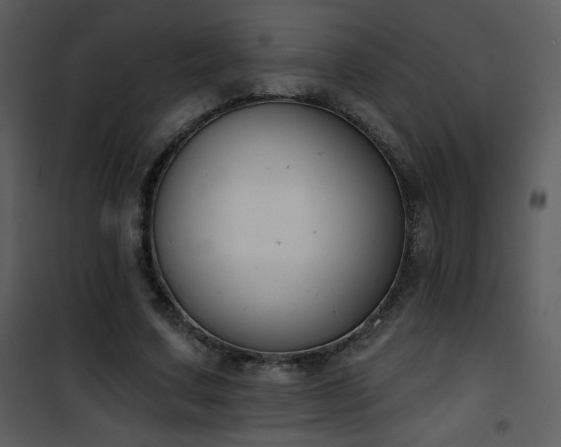 X0000102000683200807181205