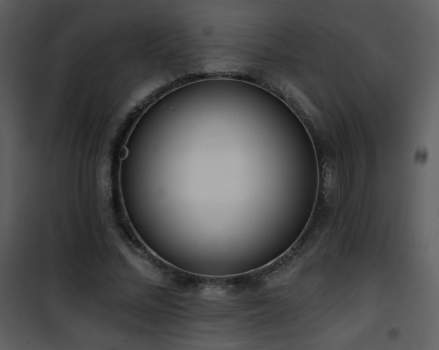 X0000102000684200807181205