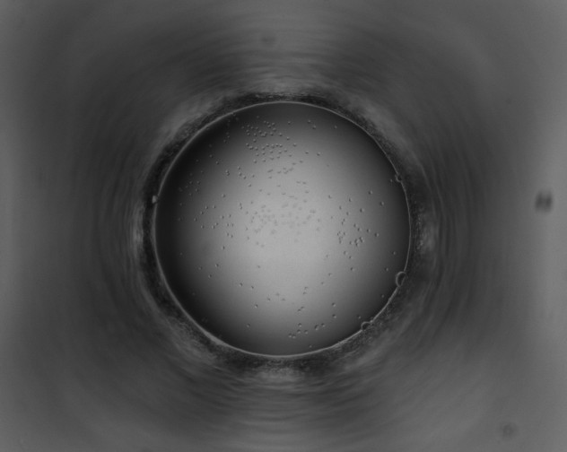 X0000102000685200807181205