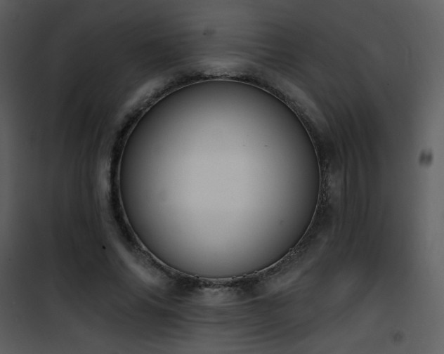 X0000102000686200807181205