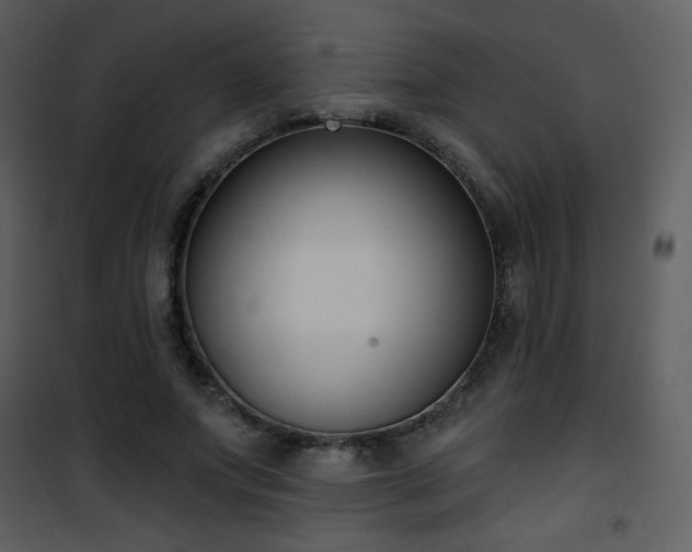 X0000102000687200807181205