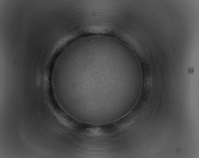 X0000102000688200807181205