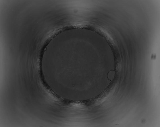 X0000102000689200807181205