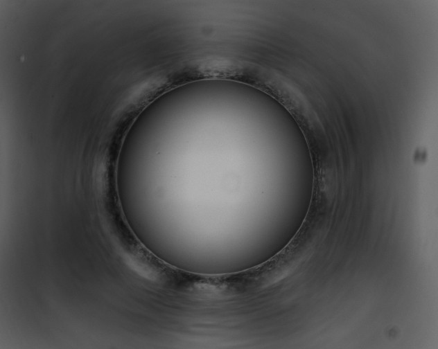 X0000102000690200807181205