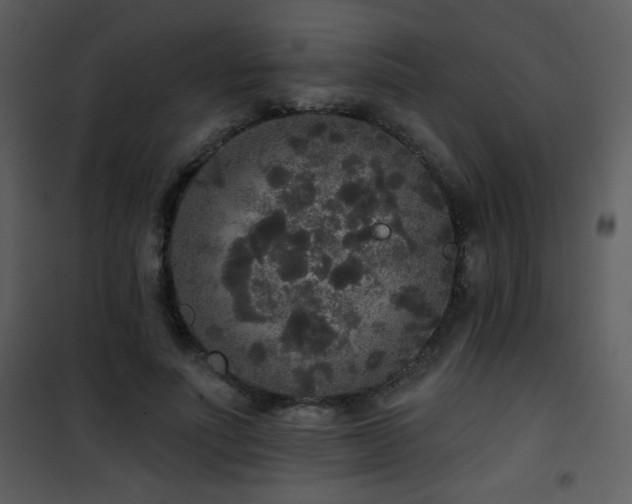 X0000102000691200807181205