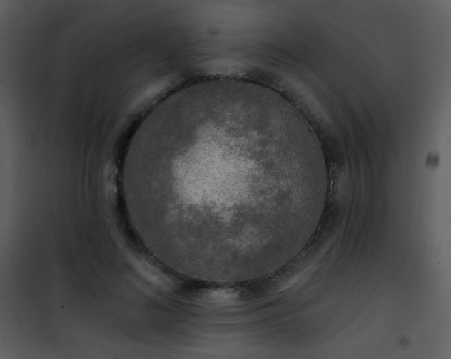 X0000102000692200807181205