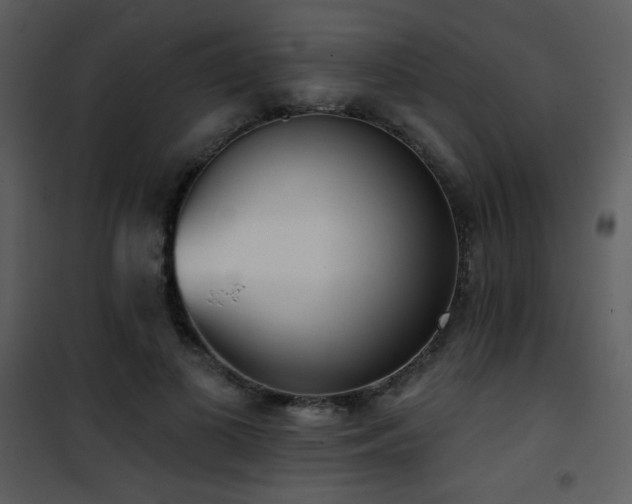 X0000102000693200807181205