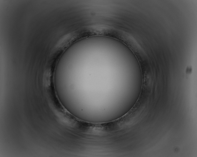 X0000102000694200807181205