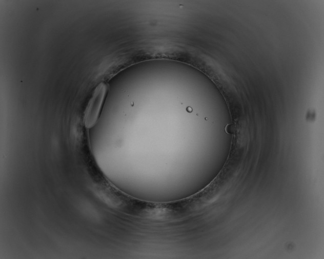 X0000102000695200807181205