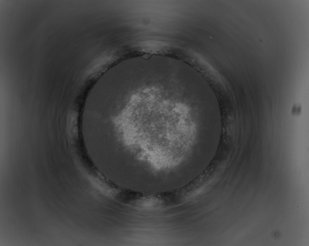 X0000102000696200807181205