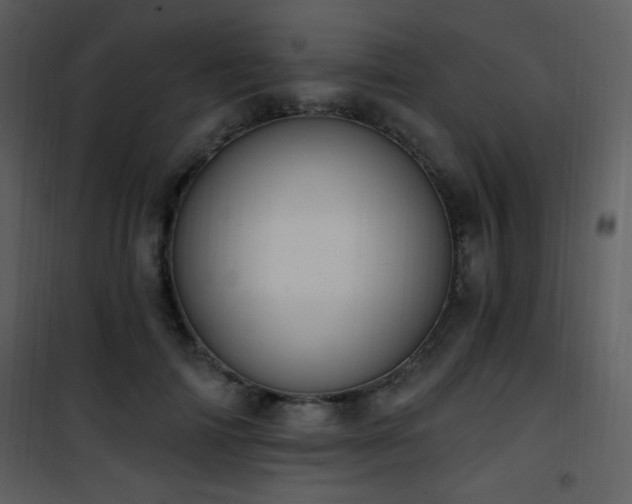 X0000102000698200807181205