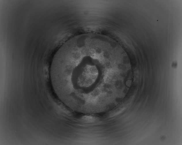 X0000102000699200807181205