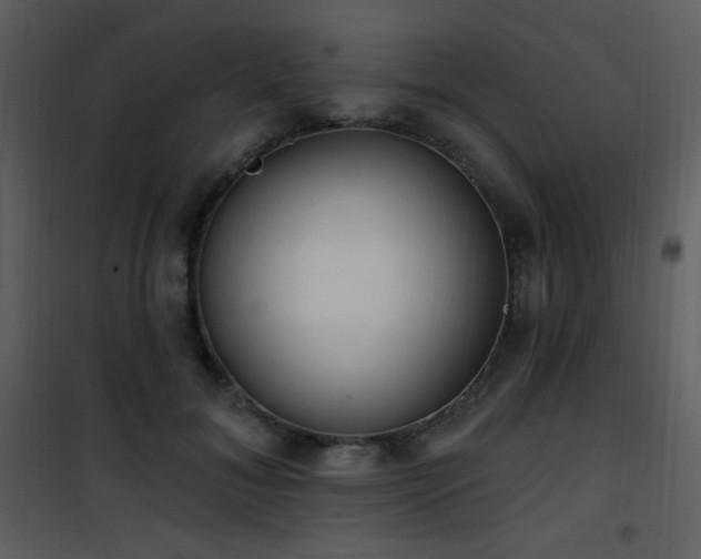 X0000102000700200807181205