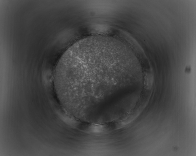 X0000102000701200807181205