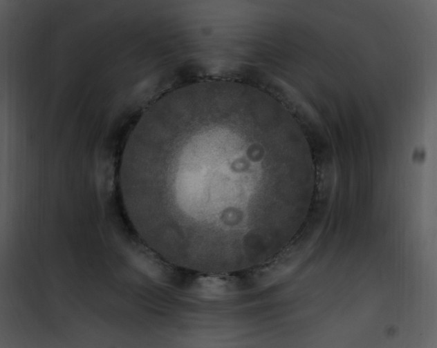 X0000102000703200807181205