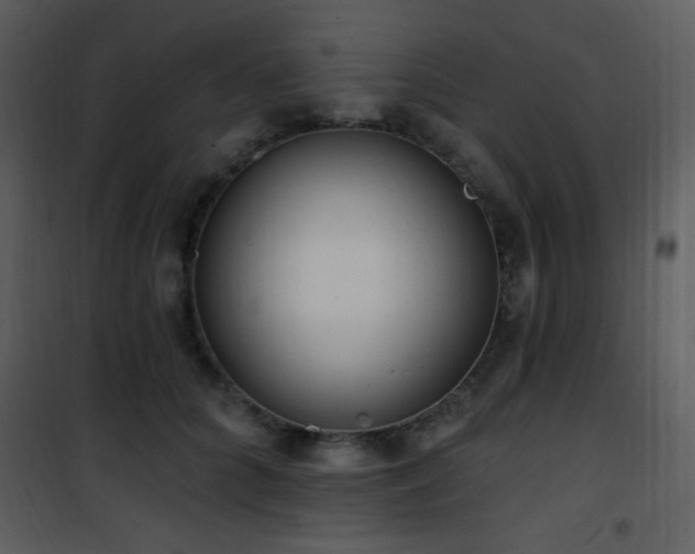 X0000102000704200807181205