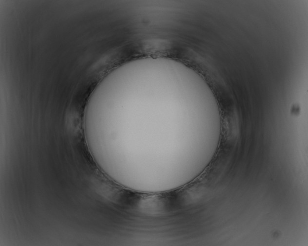 X0000102000705200807181205