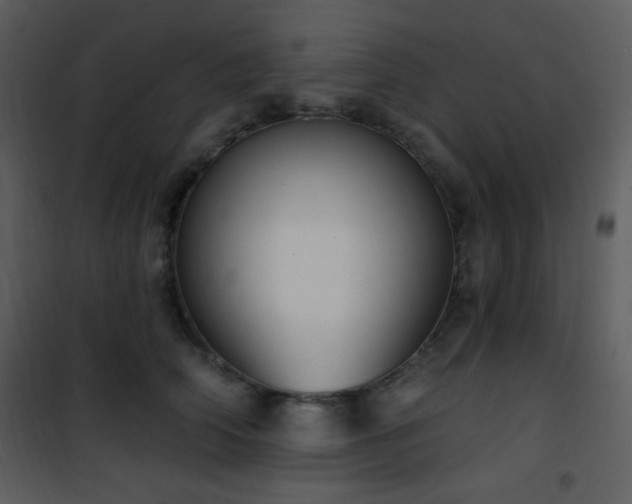 X0000102000706200807181205