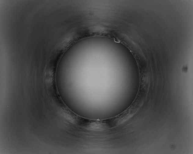 X0000102000708200807181205