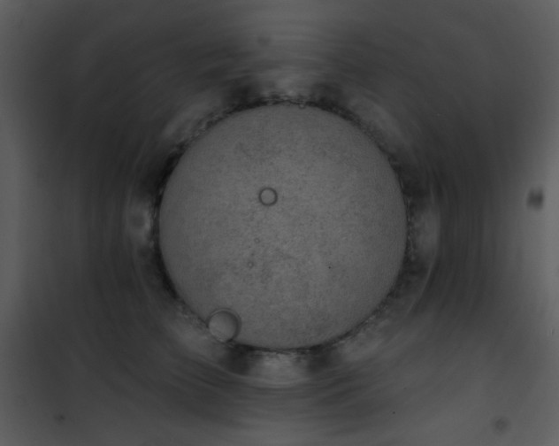 X0000102000709200807181205