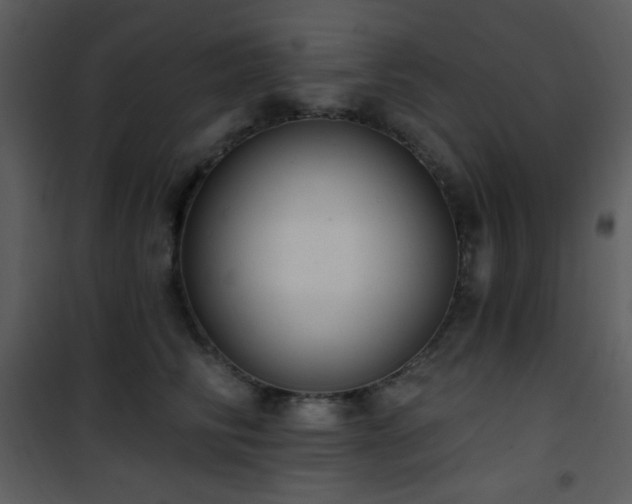 X0000102000710200807181205