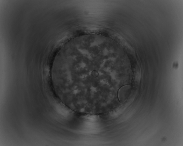 X0000102000711200807181205