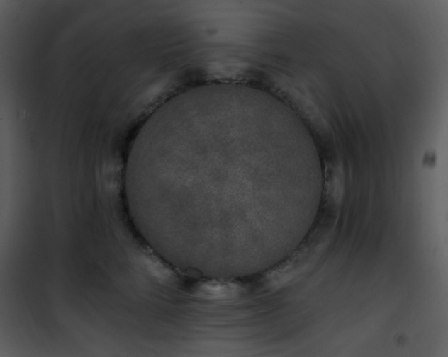 X0000102000712200807181205