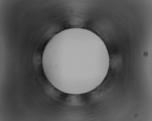 X0000102000713200807181205