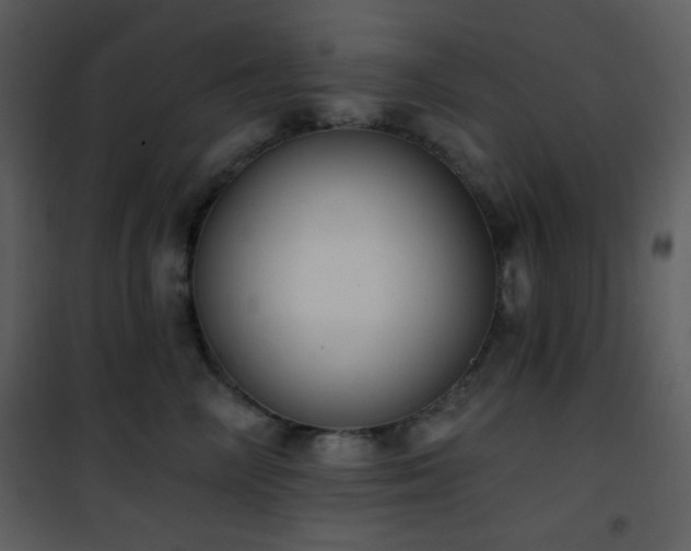 X0000102000714200807181205