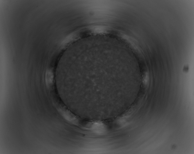 X0000102000715200807181205