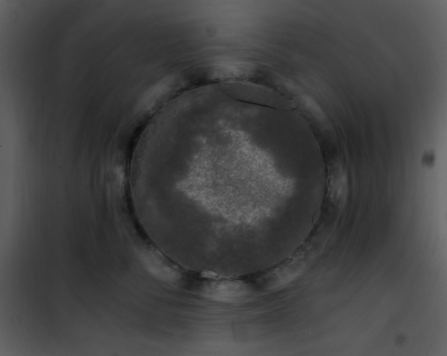 X0000102000716200807181205