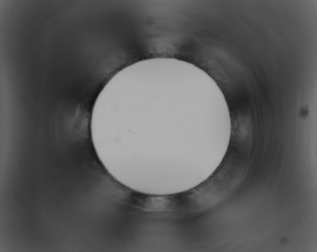 X0000102000717200807181205