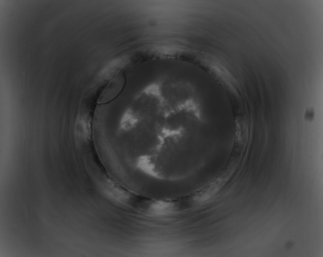 X0000102000718200807181205