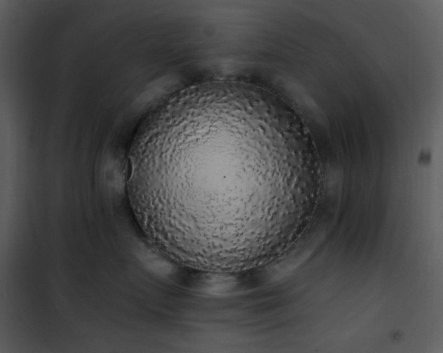 X0000102000719200807181205