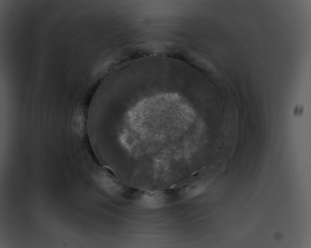 X0000102000720200807181205