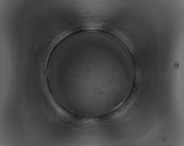 X0000102000721200807181204