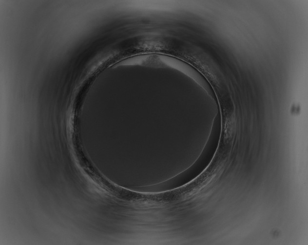 X0000102000722200807181204