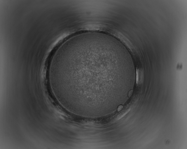 X0000102000723200807181204