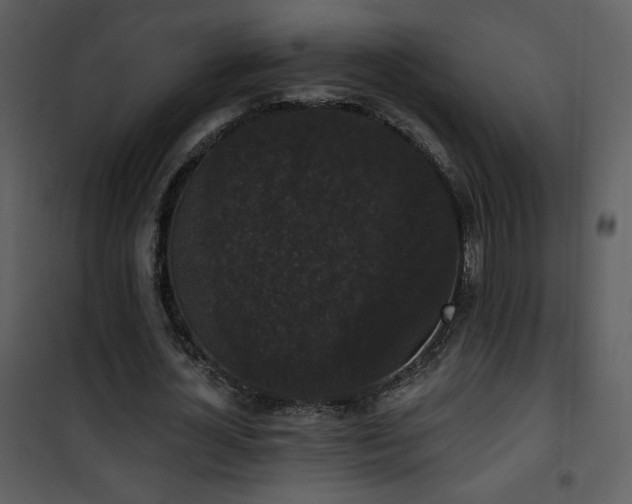 X0000102000724200807181204