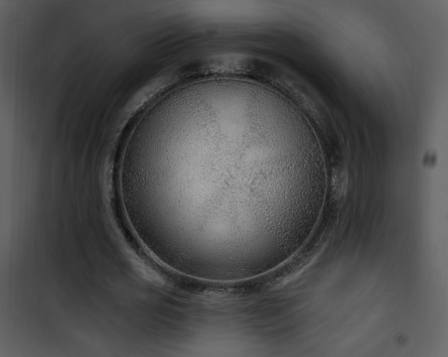 X0000102000725200807181204