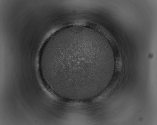 X0000102000726200807181204