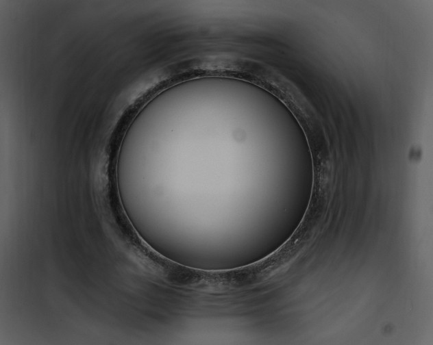 X0000102000727200807181204