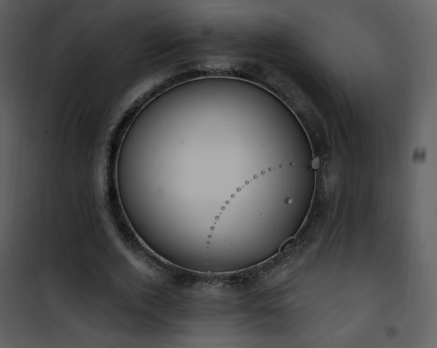 X0000102000728200807181204