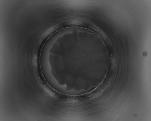 X0000102000729200807181204