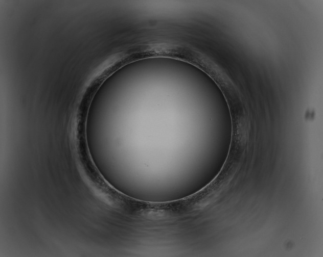 X0000102000730200807181204